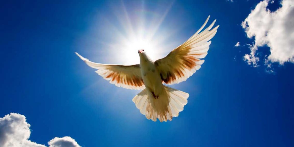 На Благовіщення Бог землю благословляє