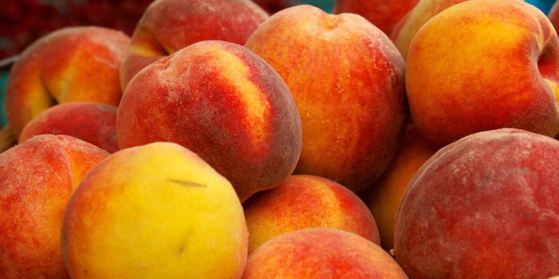 Персик … і солярка