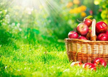 Захистить надійно дим