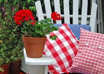 Енергетика рослин