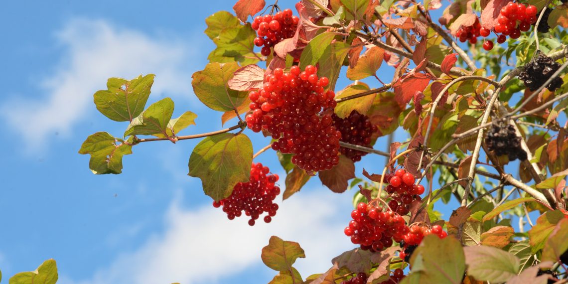 Оберіг із кісточки