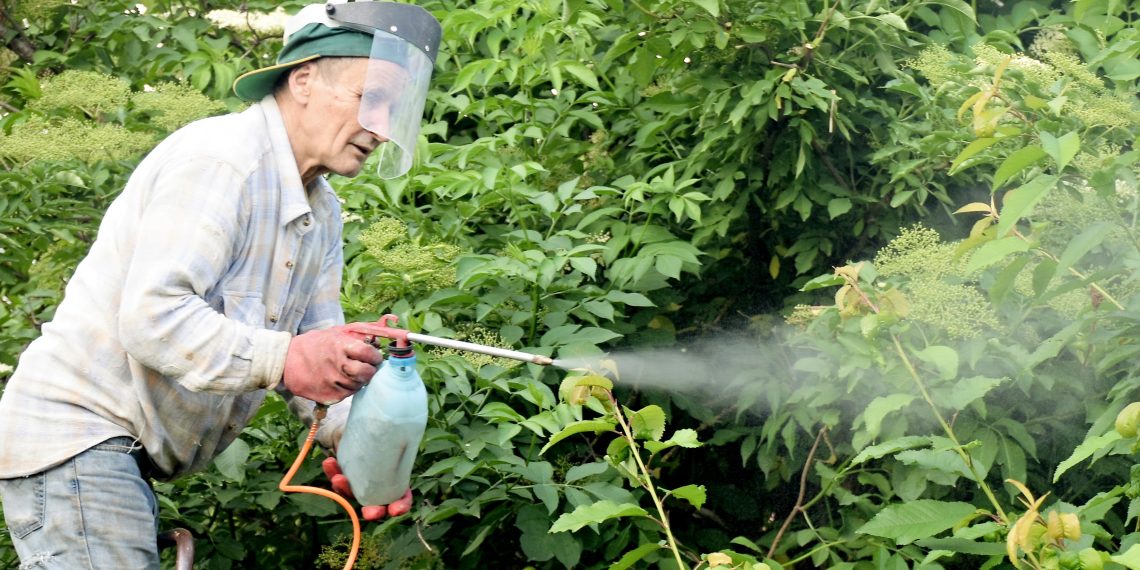 Весняна спека