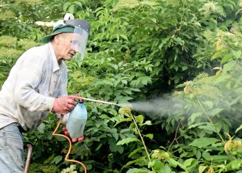 Весняна спека