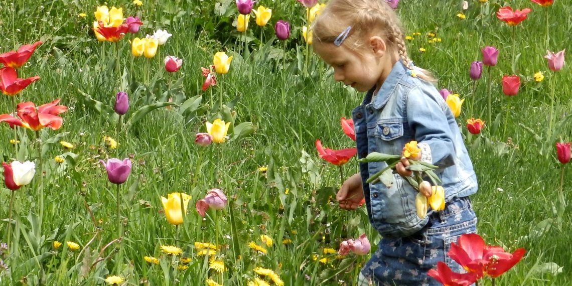 Кольорові дні