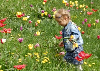 Кольорові дні