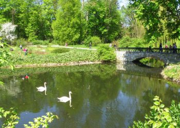 Небезпечні прогулянки