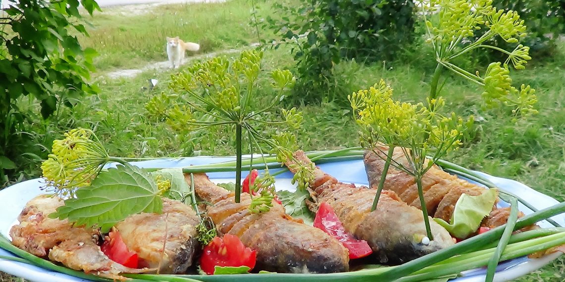 Поради бувалого мандрівника