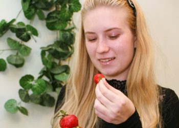 Полуниця чи суниця?