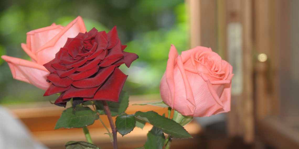 Троянда в спальні збереже від зради