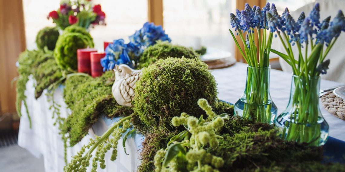 Щоб мохом поросло