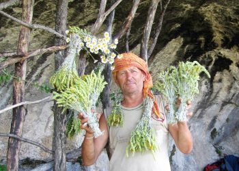 Ліки без шкоди, або чим можна замінити «хімію»
