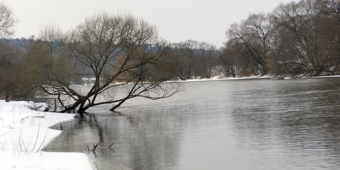 Якою буде зима, або чи можна точно спрогнозувати погоду за прикметами?