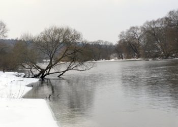 Якою буде зима, або чи можна точно спрогнозувати погоду за прикметами?