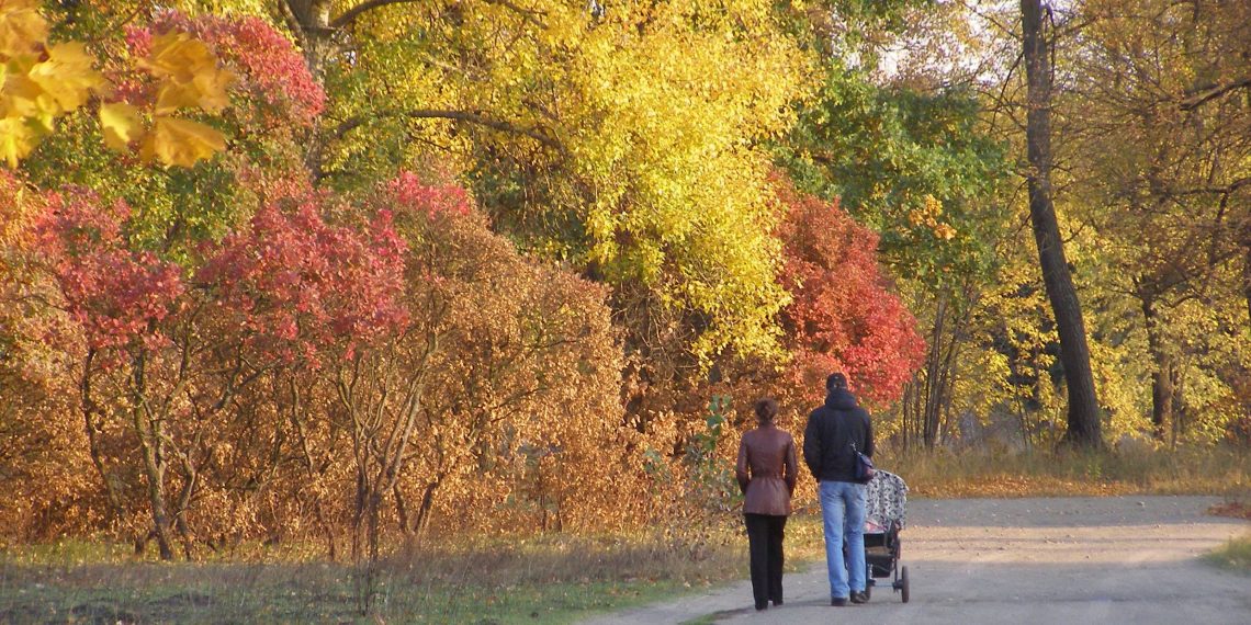 Сезонні загострення, або як адаптувати організм до різких змін у осінній погоді?