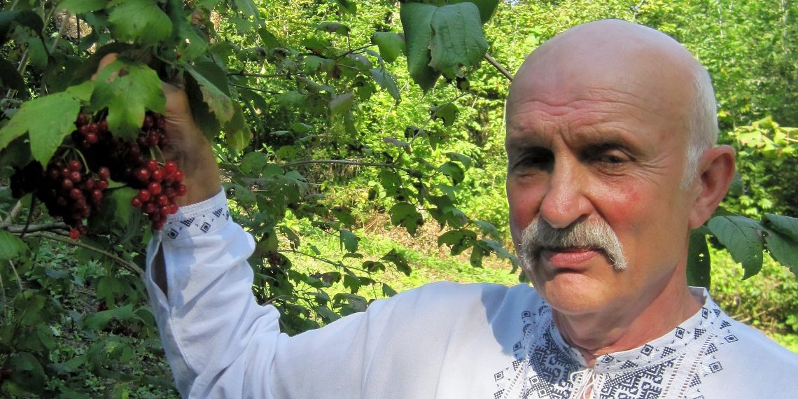 У селі Шевченкове на Черкащині відбувся День Тарасової калини