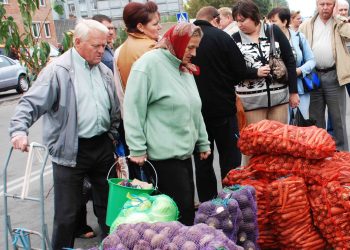 Чому подешевшала в Україні картопля?