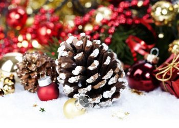 Передсвяткові клопоти. Шишки в декорі