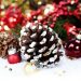 Передсвяткові клопоти. Шишки в декорі