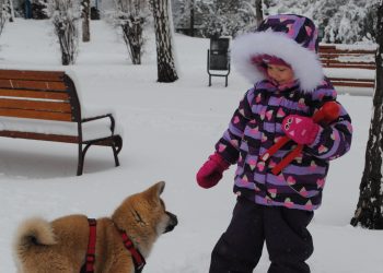 Чим зайняти дитину зимової пори?