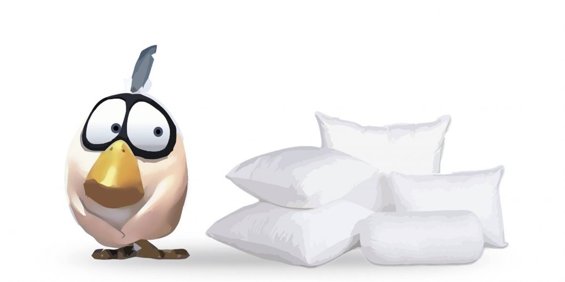 В українських пасажирських поїздах скоро зникнуть всі пір’яні подушки