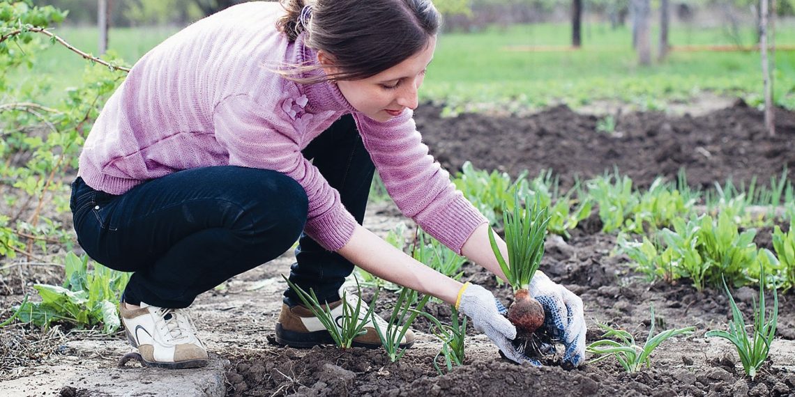 Знову білоручка, або як доглядати за руками після роботи у саду та городі