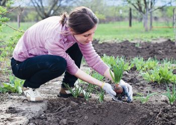 Знову білоручка, або як доглядати за руками після роботи у саду та городі