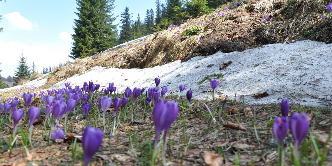 Перший день весни