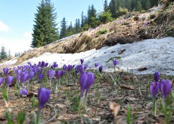 Перший день весни