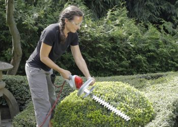 Інвентар для садово-городніх робіт: тример, мотоблок, культиватор