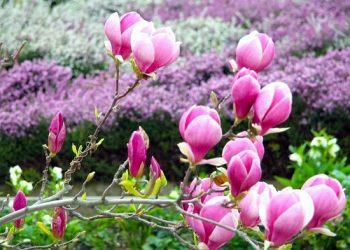 Вихідні у квітні та на початку травня