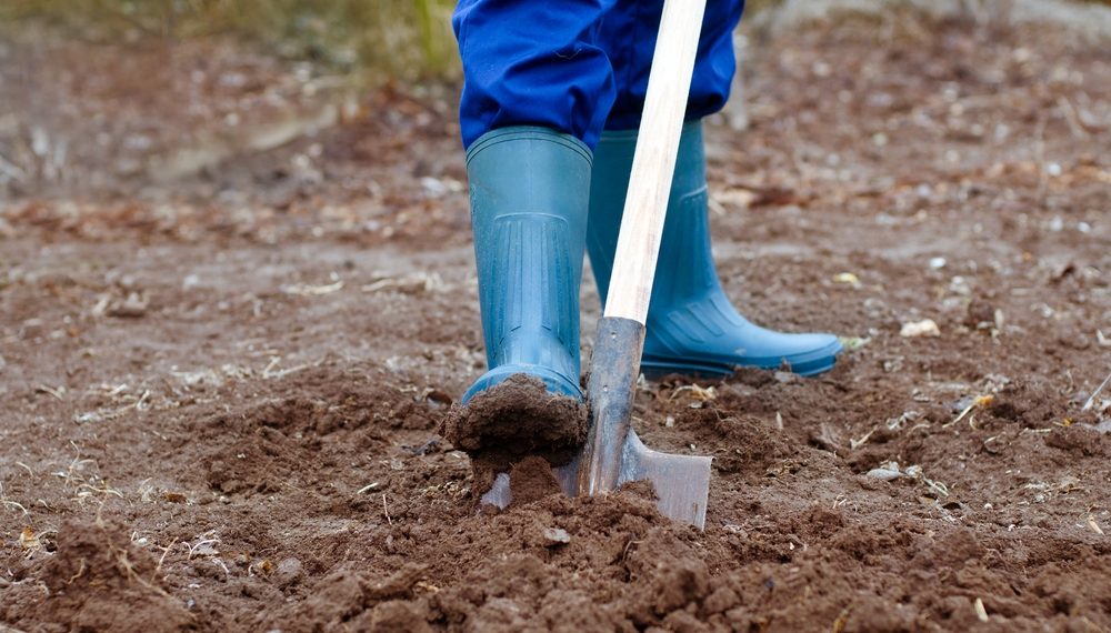 Ґрунт копайте глибоко
