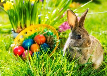 Як святкують Великдень за кордоном?