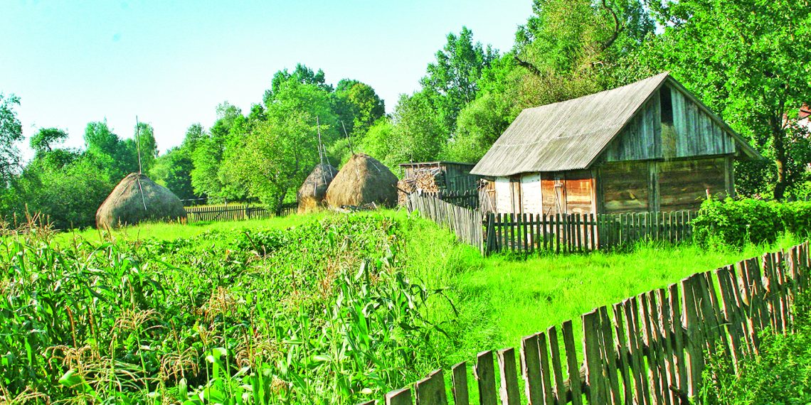 Як оформити землю, отриману у спадок?