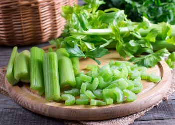 Корисна селера