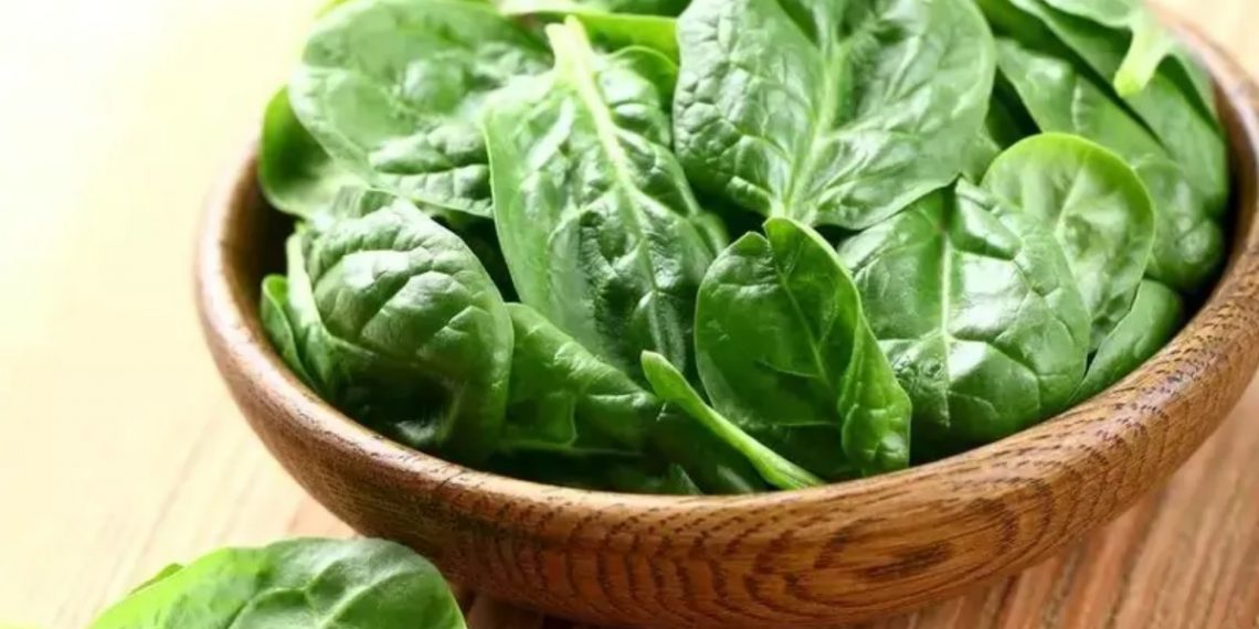 Шпинат у кубиках