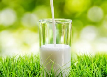 Склянка на день — норма молока для дорослих