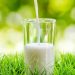 Склянка на день — норма молока для дорослих