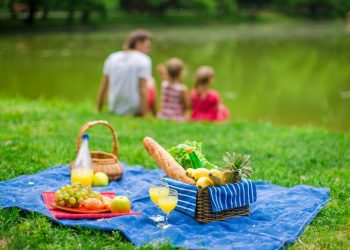 Всі на пікнік: як організувати відпочинок на природі
