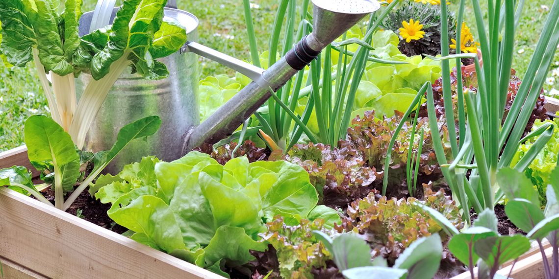 На городі: сусіди «хороші» і «погані»