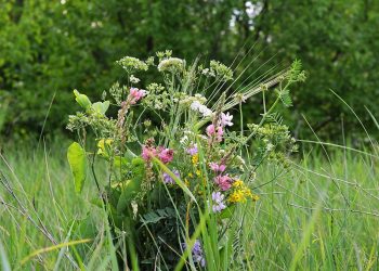 16 червня — День Святої Трійці