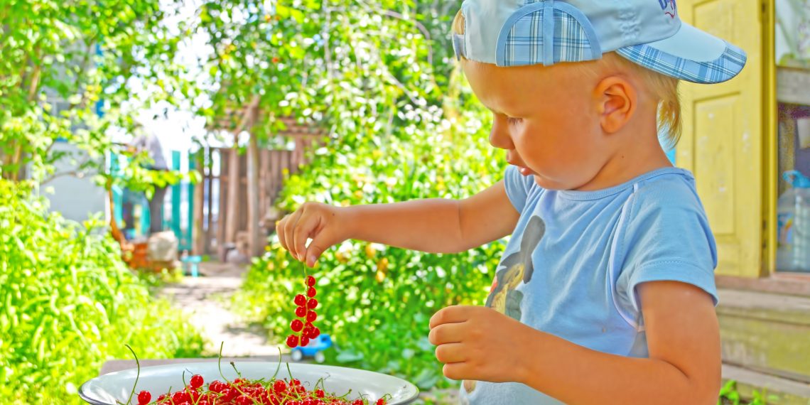 Вітаміни дітям теж у міру