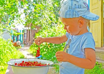 Вітаміни дітям теж у міру