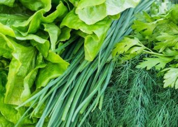 Споживання зеленої городини має бути усвідомленим