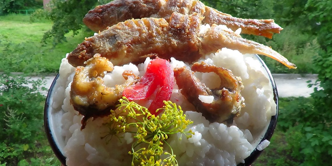 Лин вилиняє, а карася очешуть