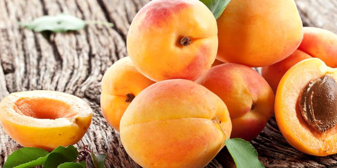 Абрикоси щодня: для краси і довголіття