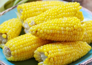 Чи можна морозити кукурудзу в качанах?