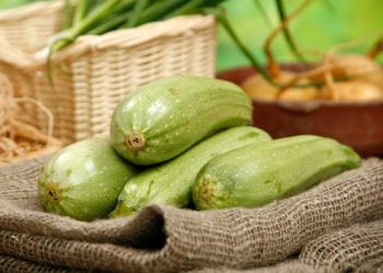 Як зберегти кабачки свіжими до зими?