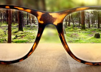 6 серпня – Міжнародний день офтальмології. Як зберегти очі здоровими та чому вони хворіють