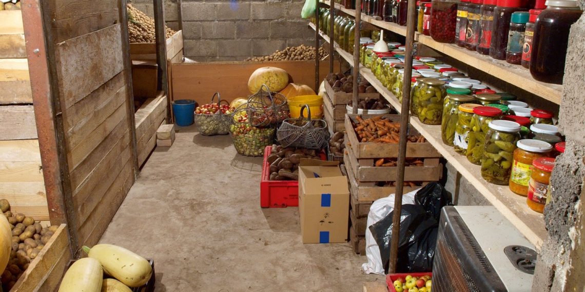 Зберігаємо урожай без втрат