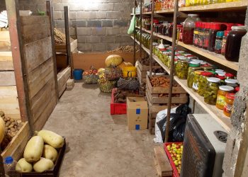 Зберігаємо урожай без втрат